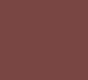 SW7593 Rustic Red Swatch Photo